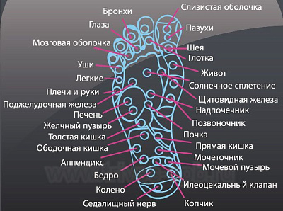 картинка Массажер для различных частей тела М-405 от интернет-магазина Ортимед